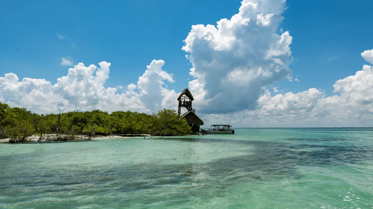 Shallow turquoise Caribbean water and mangroves on a Riviera Maya island day trip from Playa del Carmen, Mexico